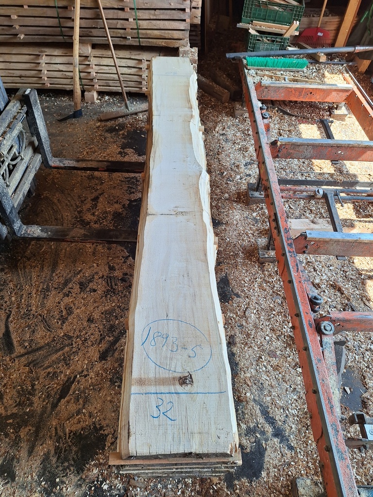 Plateau Marronnier 53 x 300-320 x 2970 mm de la boule 1893 - 5