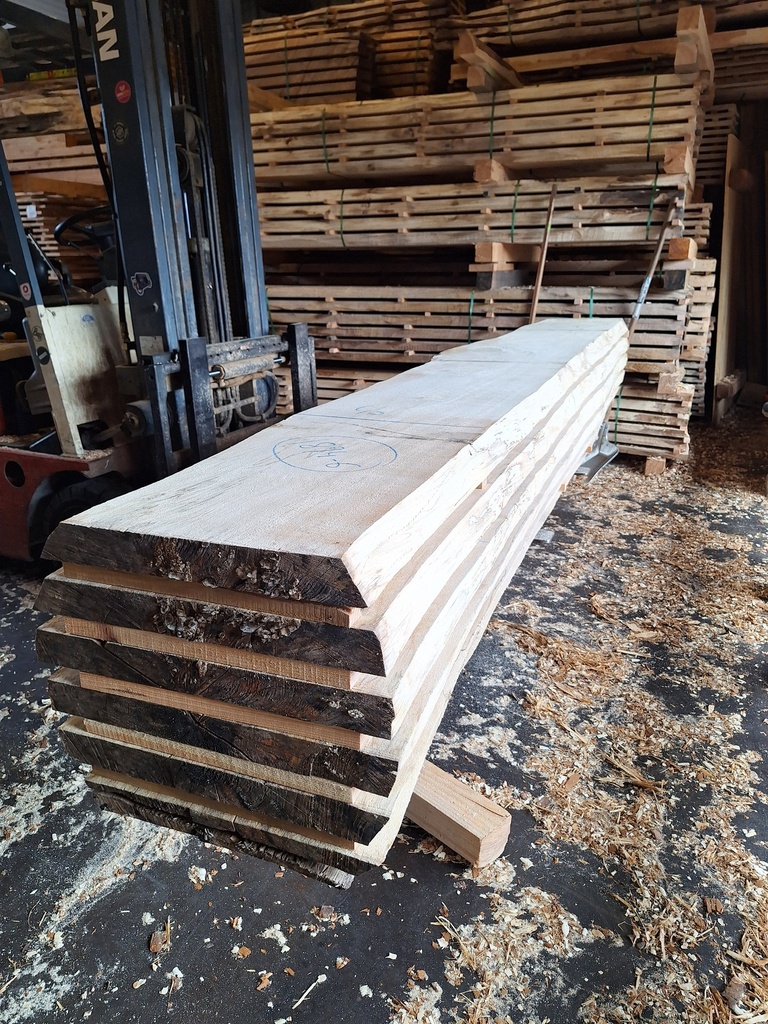 Boule Marronnier - 1894