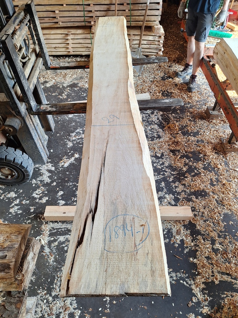 Plateau Marronnier 53 x 290-310 x 2000 mm de la boule 1894 - 1