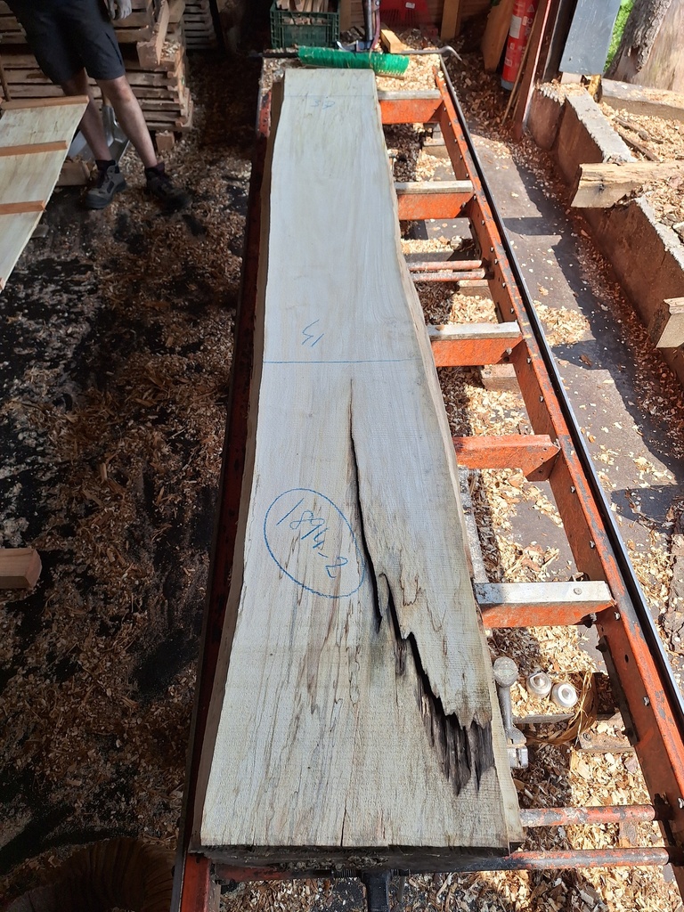 Plateau Marronnier 53 x 370-410 x 2000 mm de la boule 1894 - 2