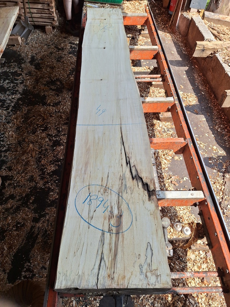 Plateau Marronnier 53 x 420-490 x 2000 mm de la boule 1894 - 3