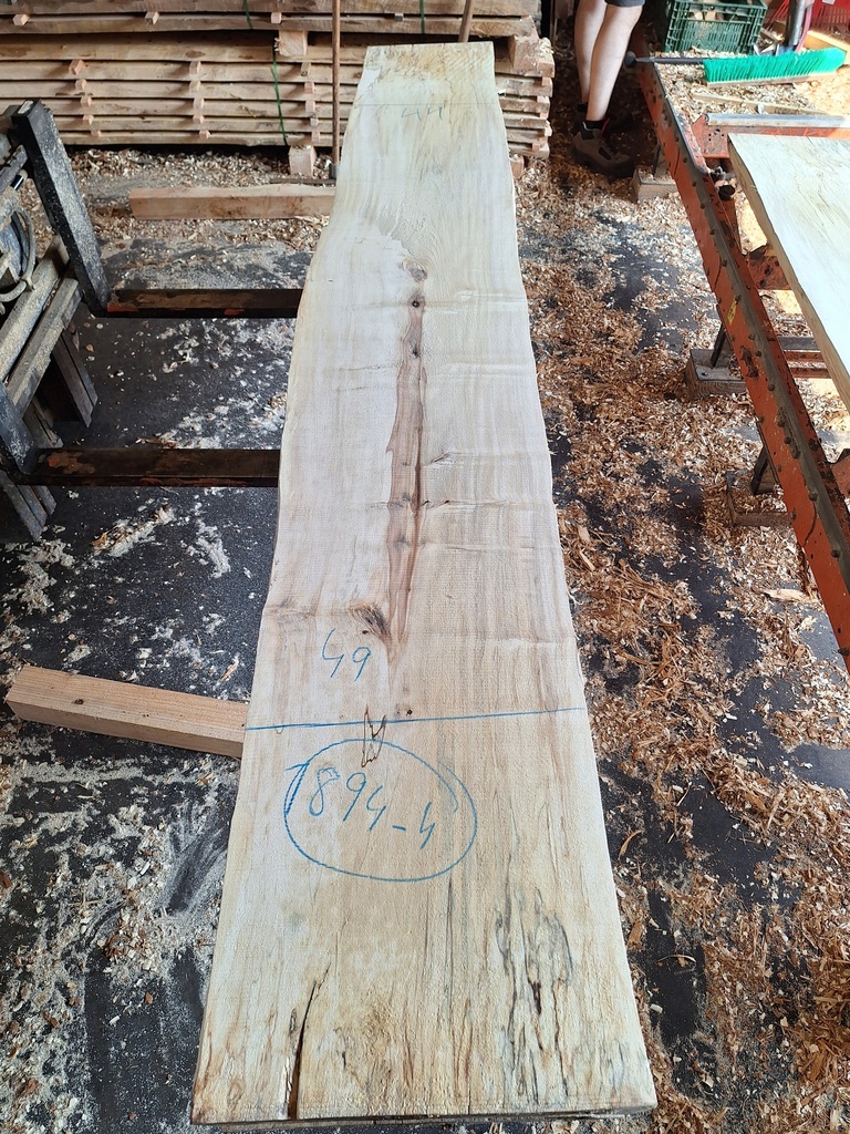 Plateau Marronnier 53 x 440-490 x 3020 mm de la boule 1894 - 4