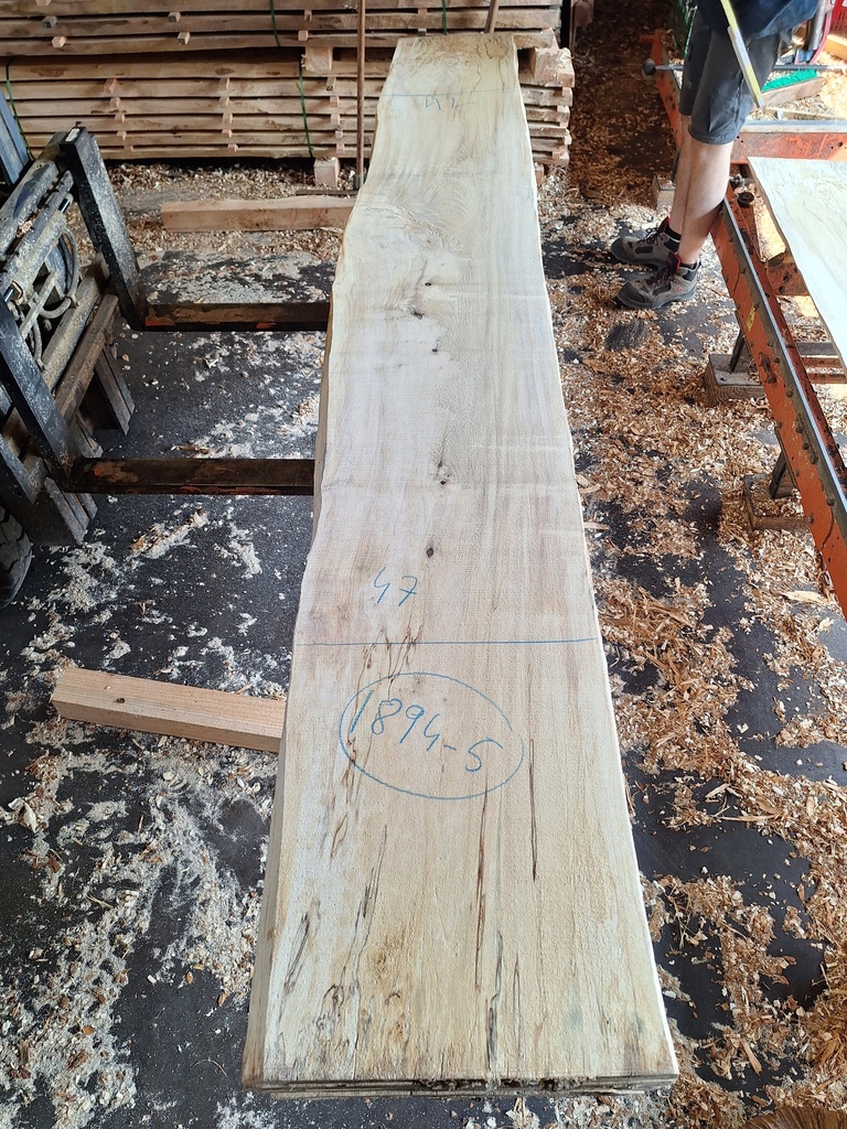 Plateau Marronnier 53 x 420-470 x 3020 mm de la boule 1894 - 5