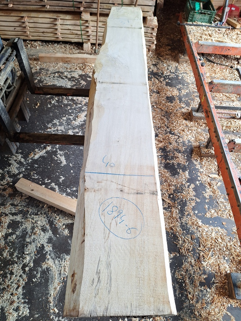 Plateau Marronnier 53 x 370-400 x 3020 mm de la boule 1894 - 6