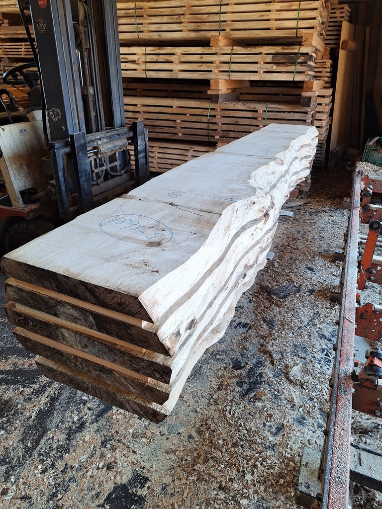 Boule Marronnier - 1895