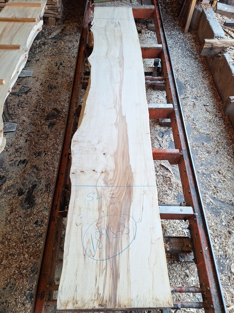 Plateau Marronnier 63 x 440-520 x 2960 mm de la boule 1895 - 3