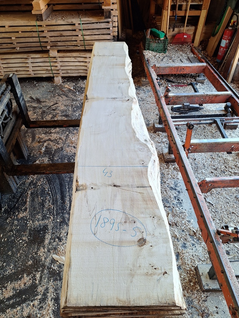 Plateau Marronnier 63 x 360-430 x 2960 mm de la boule 1895 - 5