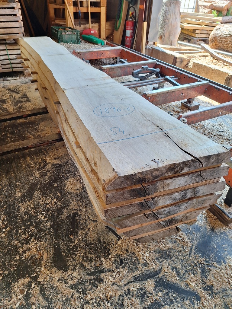 Boule Marronnier - 1896