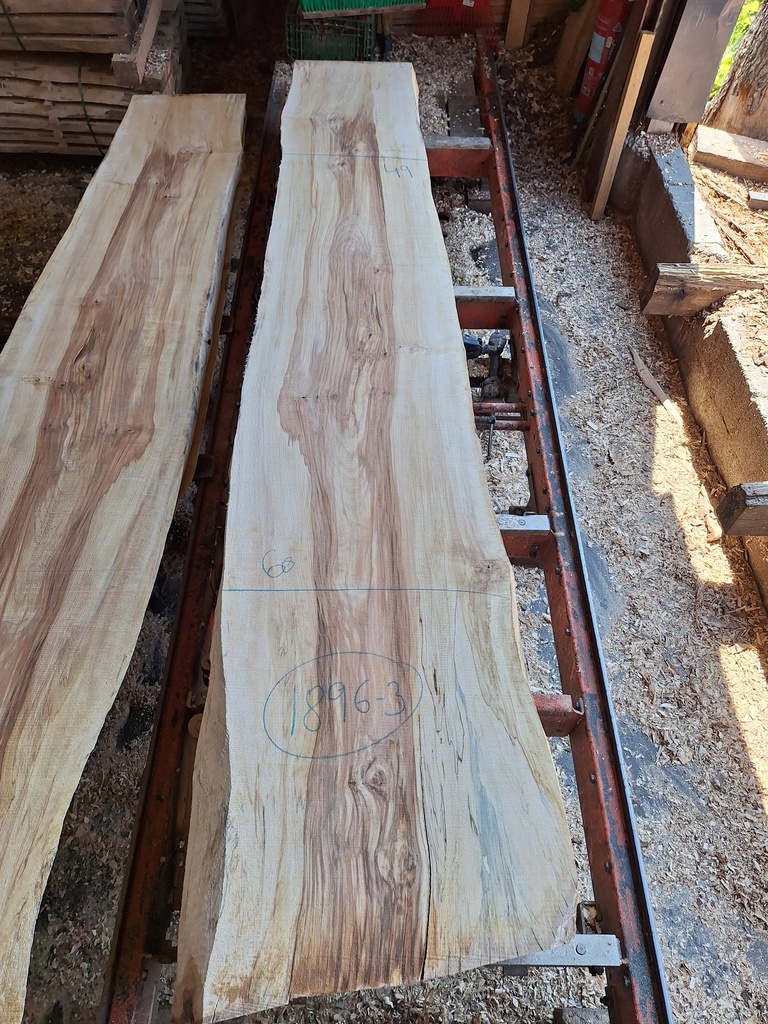 Plateau Marronnier 63 x 490-600 x 2990 mm de la boule 1896 - 3