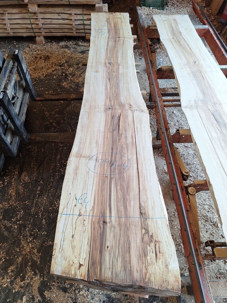 Plateau Marronnier 63 x 470-640 x 2990 mm de la boule 1896 - 4