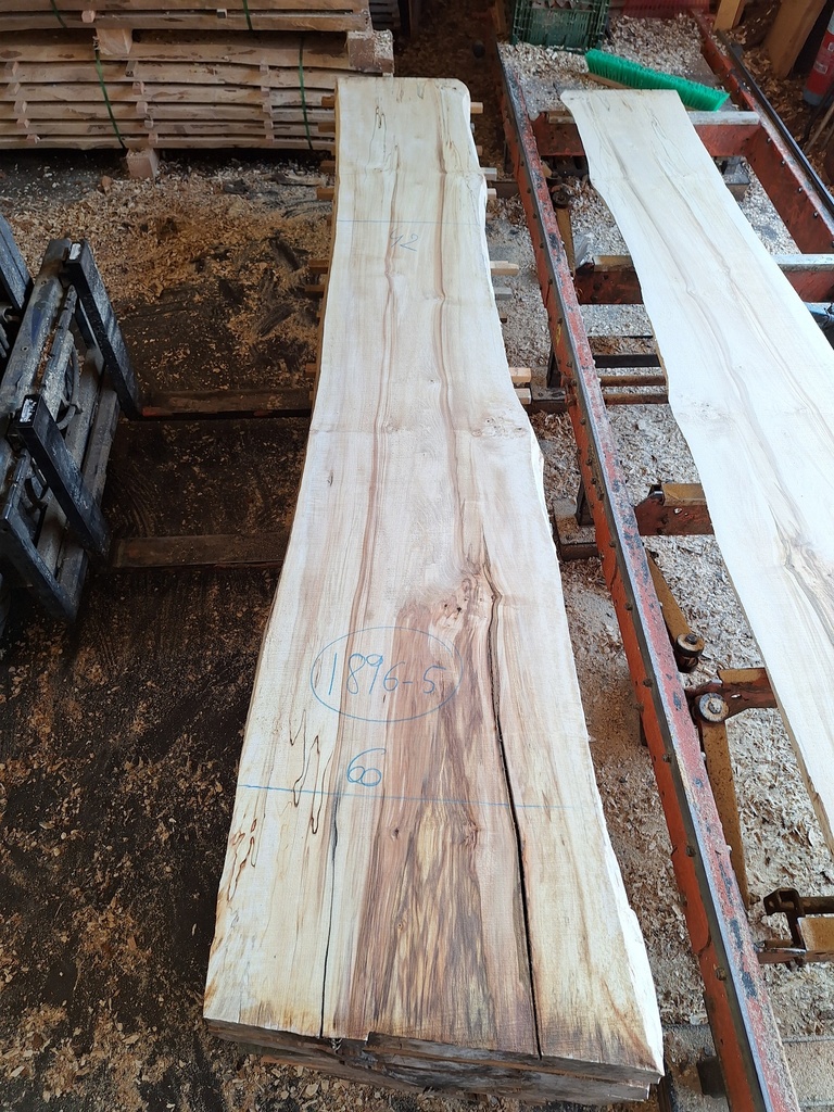 Plateau Marronnier 63 x 420-600 x 2990 mm de la boule 1896 - 5