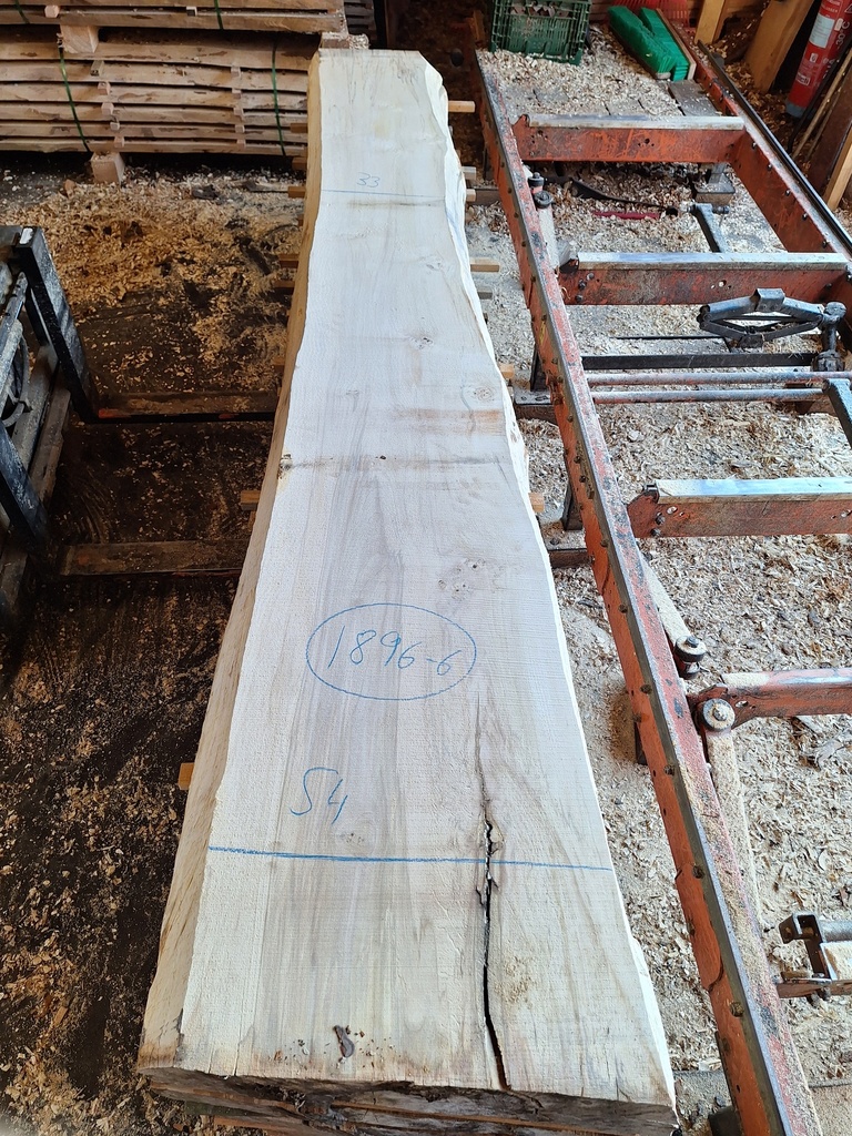 Plateau Marronnier 63 x 330-540 x 2990 mm de la boule 1896 - 6