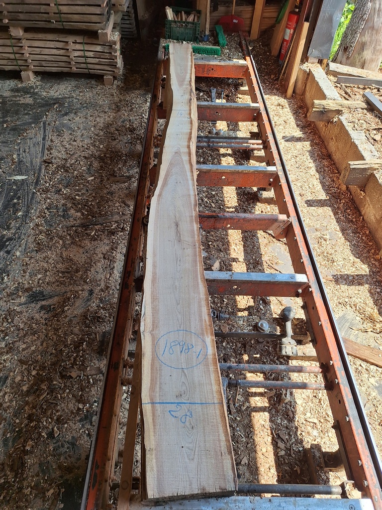 Plateau Orme 28 x 140-280 x 3920 mm de la boule 1898 - 1