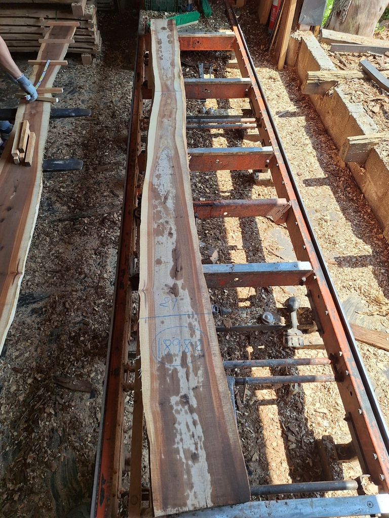 Plateau Orme 28 x 190-290 x 3920 mm de la boule 1898 - 2