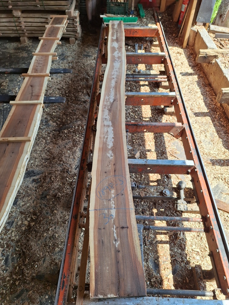 Plateau Orme 28 x 220-300 x 3920 mm de la boule 1898 - 3