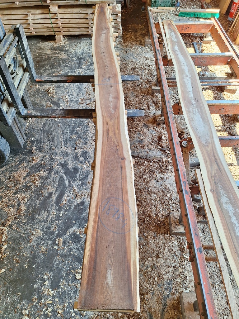 Plateau Orme 28 x 170-260 x 3920 mm de la boule 1898 - 4