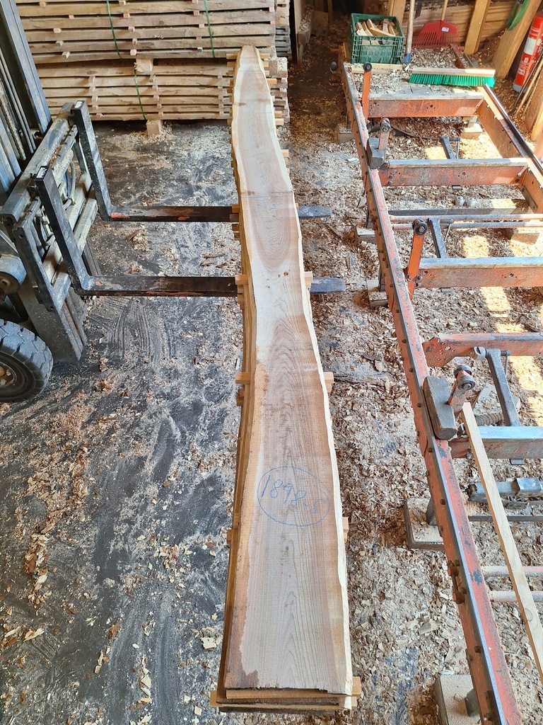 Plateau Orme 28 x 150-230 x 3420 mm de la boule 1898 - 5