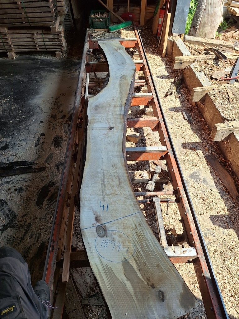 Plateau Noyer 43 x 280-410 x 3700 mm de la boule 1899 - 1