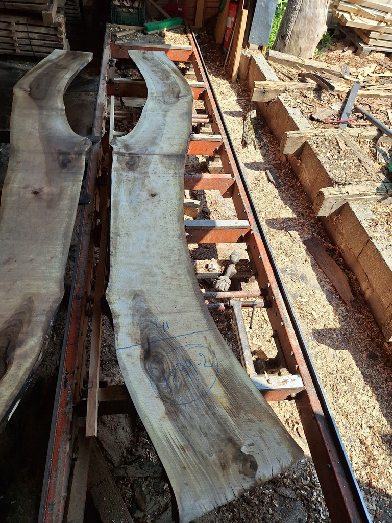 Plateau Noyer 43 x 360-410 x 3700 mm de la boule 1899 - 2