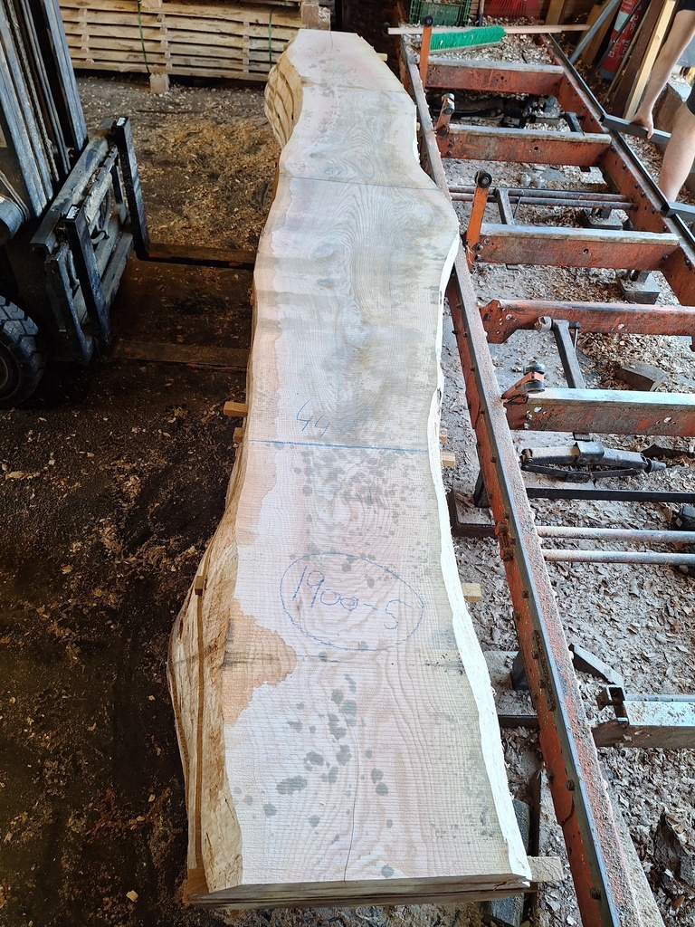 Plateau Frêne 63 x 440-610 x 4080 mm de la boule 1900 - 5