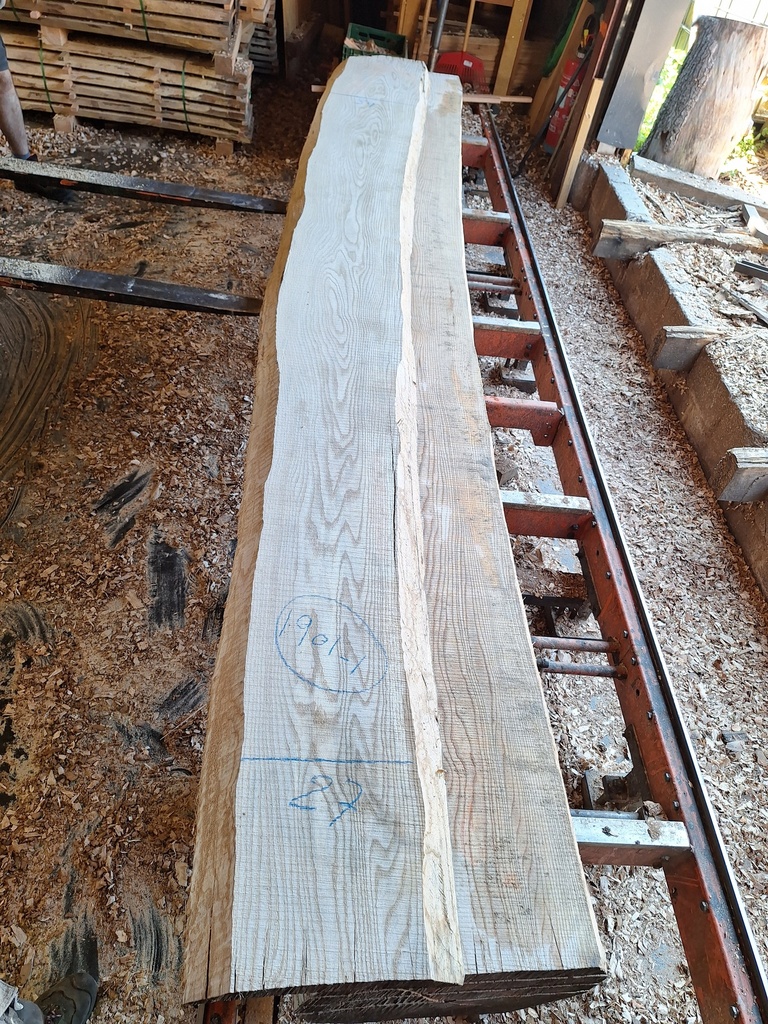 Plateau Frêne 53 x 270-390 x 4080 mm de la boule 1901 - 1