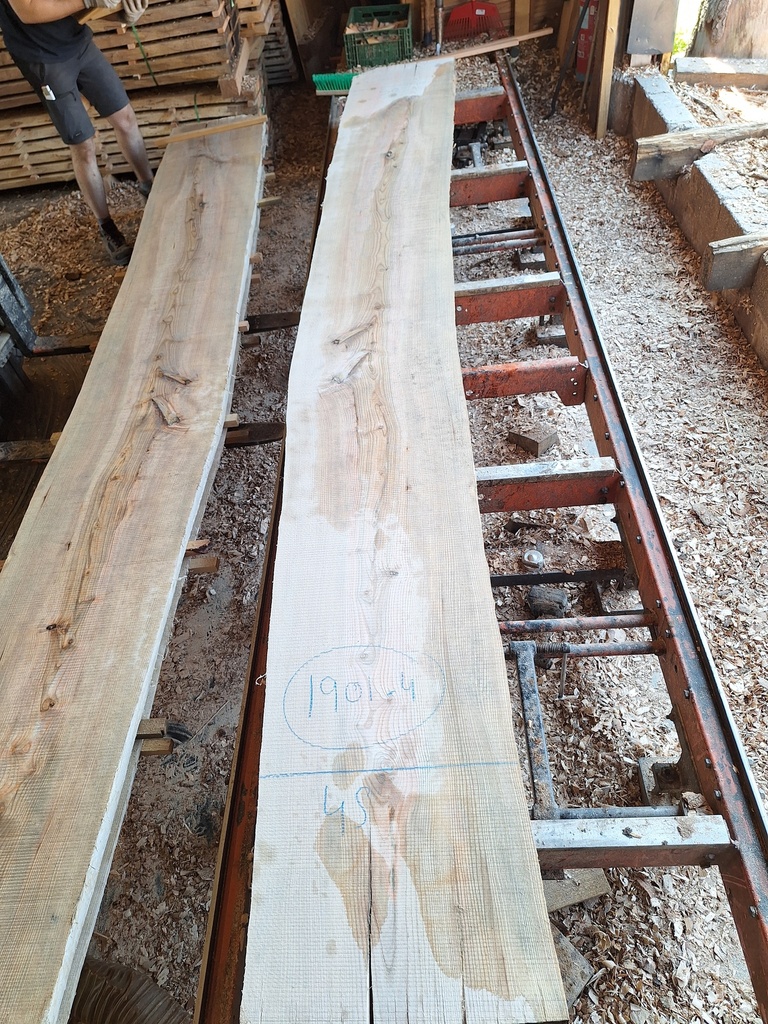 Plateau Frêne 53 x 450-500 x 4080 mm de la boule 1901 - 4