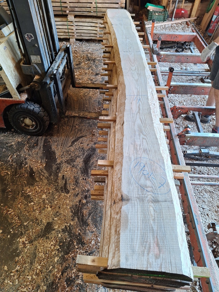 Plateau Frêne 53 x 190-320 x 4080 mm de la boule 1901 - 7