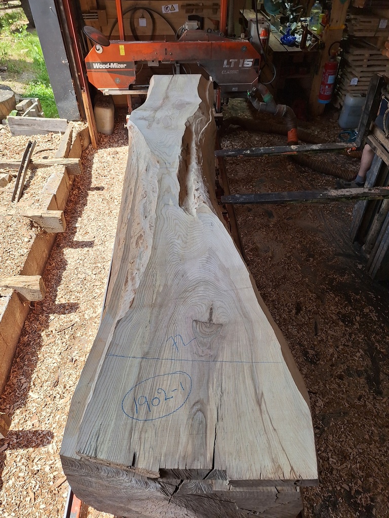 Plateau Frêne 63 x 140-720 x 4120 mm de la boule 1902 - 1