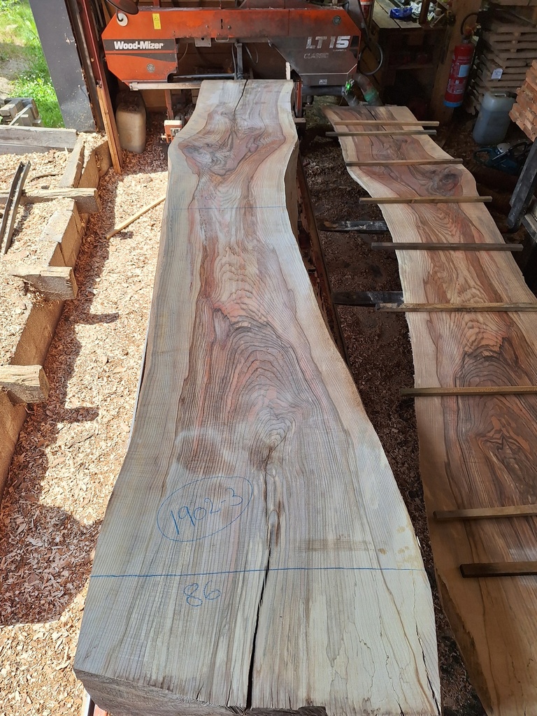 Plateau Frêne 63 x 610-860 x 4120 mm de la boule 1902 - 3