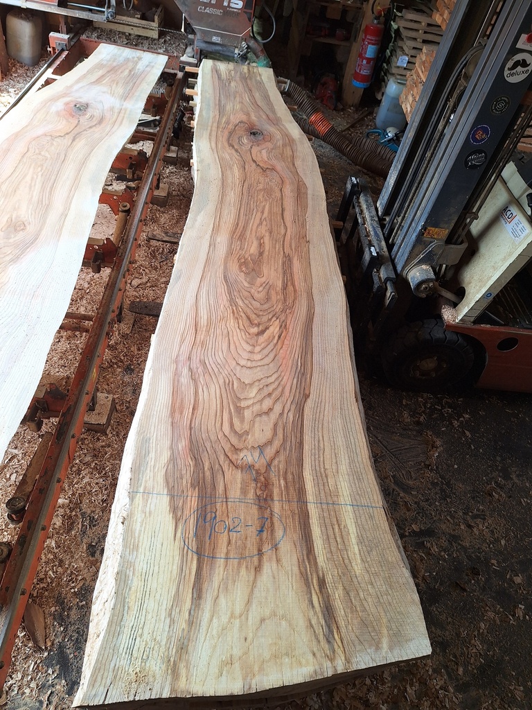 Plateau Frêne 63 x 550-740 x 4120 mm de la boule 1902 - 7