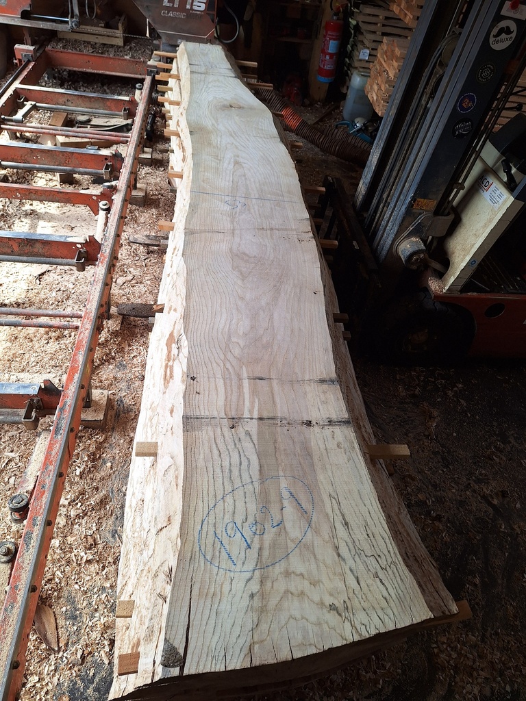 Plateau Frêne 63 x 300-530 x 4120 mm de la boule 1902 - 9