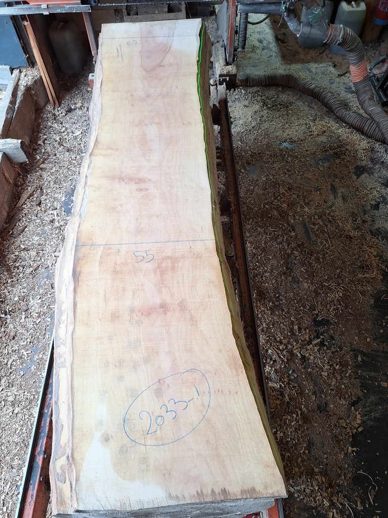 Plateau Platane 53 x 550-620 x 2830 mm de la boule 2033 - 1