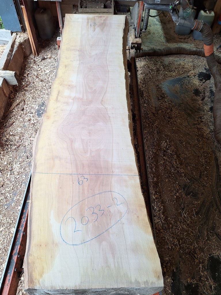 Plateau Platane 53 x 630-690 x 2830 mm de la boule 2033 - 2