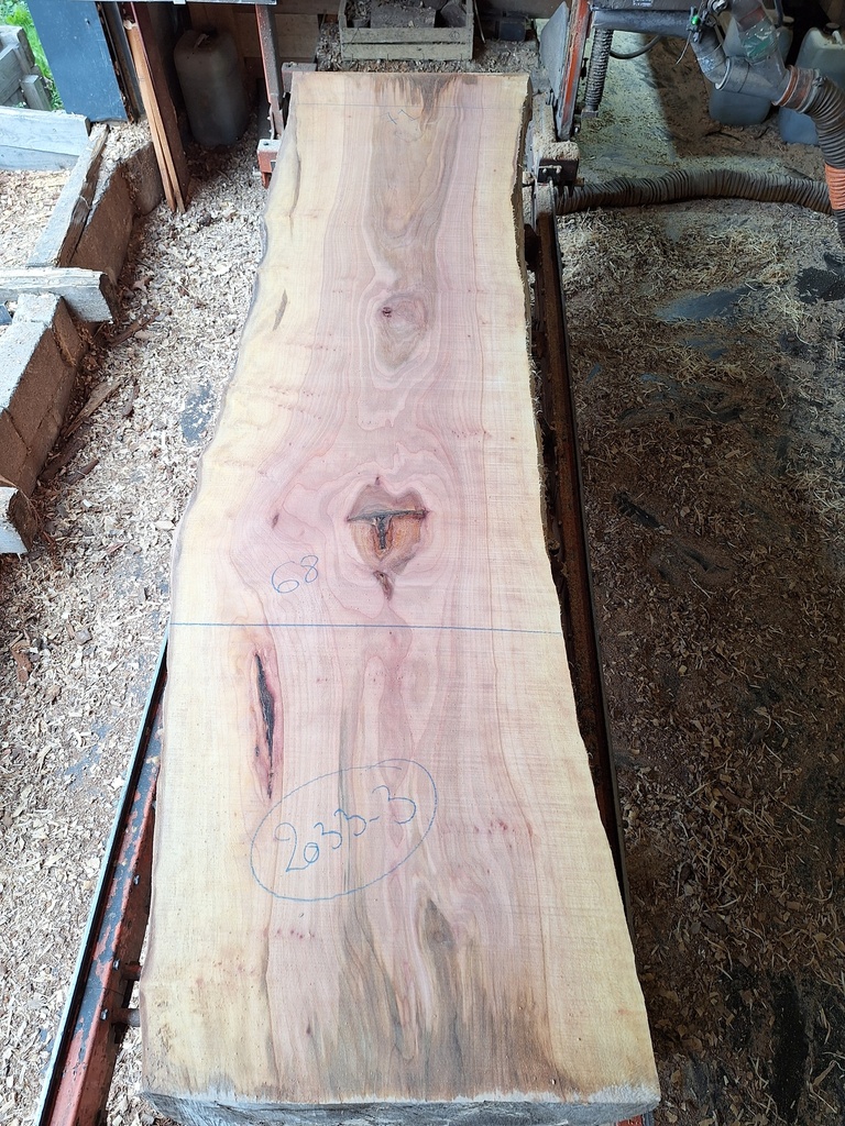 Plateau Platane 53 x 680-710 x 2830 mm de la boule 2033 - 3