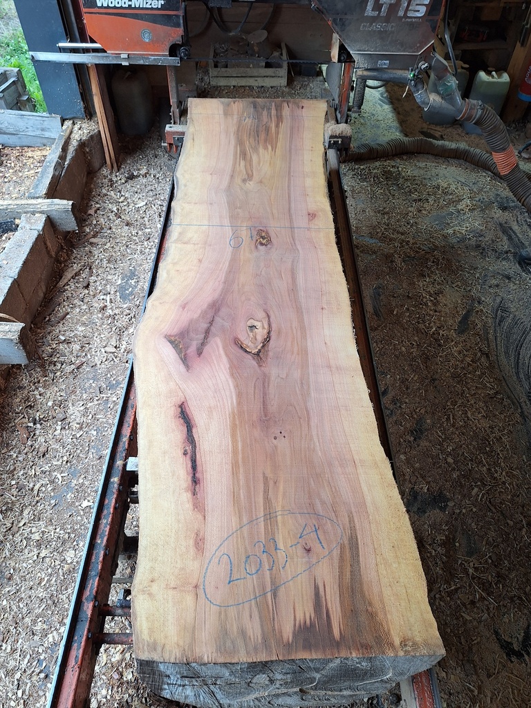 Plateau Platane 53 x 670-740 x 2830 mm de la boule 2033 - 4