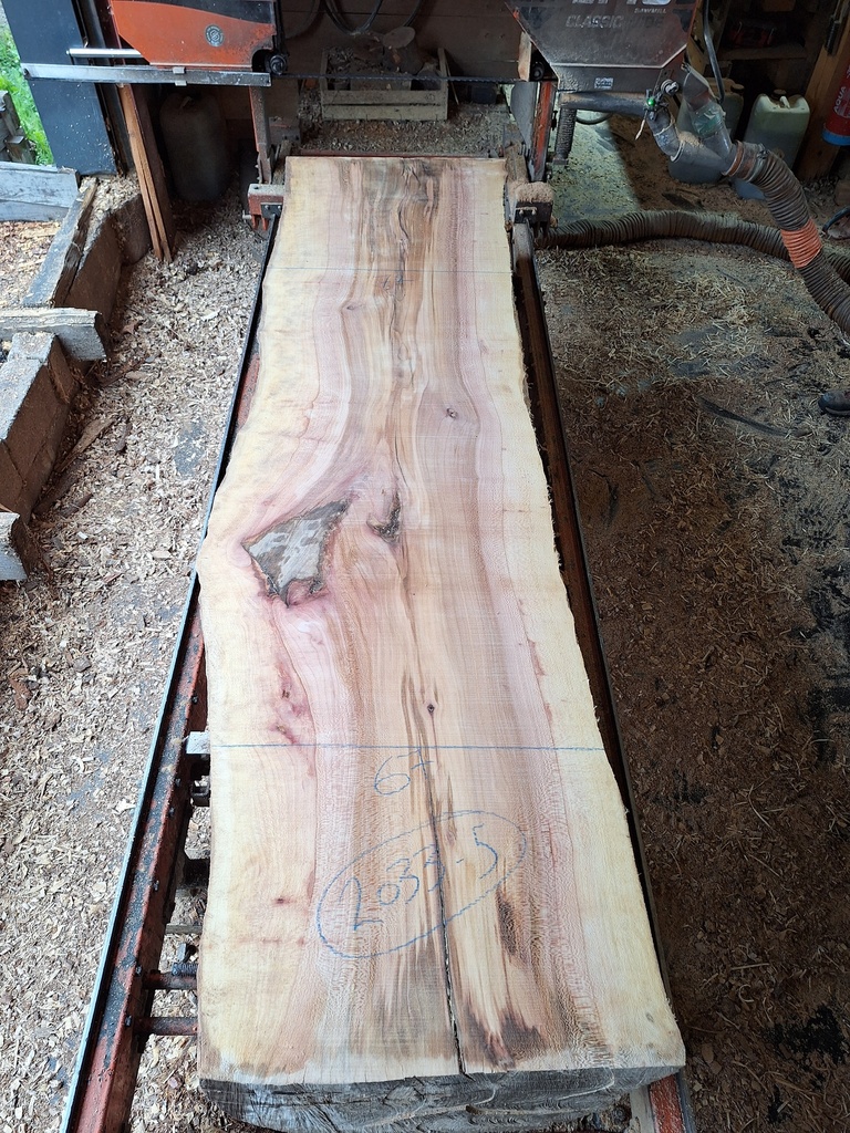 Plateau Platane 53 x 670-720 x 2830 mm de la boule 2033 - 5