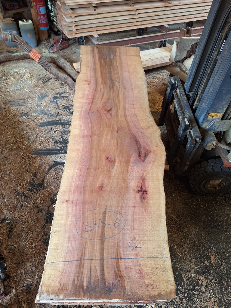 Plateau Platane 53 x 620-740 x 2830 mm de la boule 2033 - 6