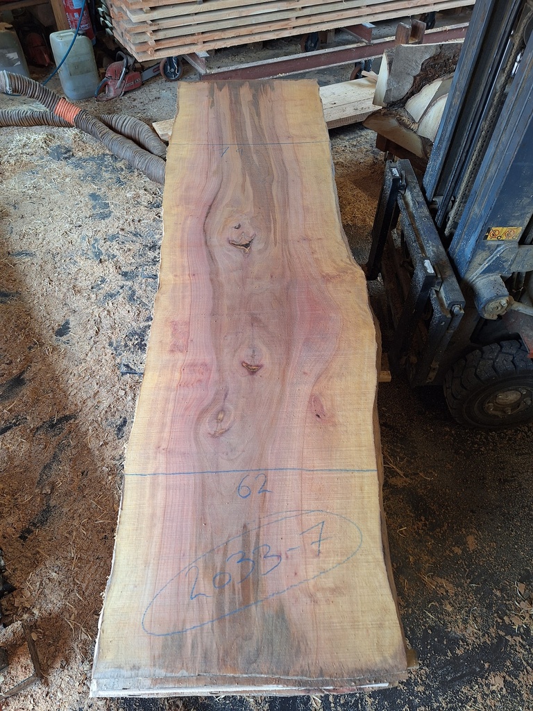 Plateau Platane 53 x 620-740 x 2830 mm de la boule 2033 - 7