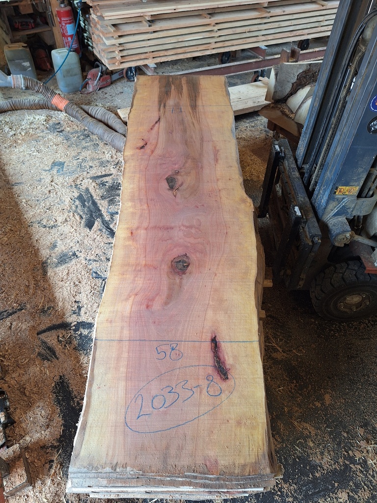 Plateau Platane 53 x 580-710 x 2830 mm de la boule 2033 - 8