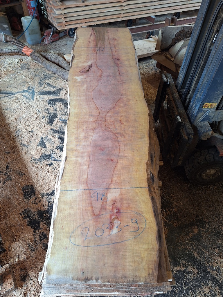 Plateau Platane 53 x 480-670 x 2830 mm de la boule 2033 - 9