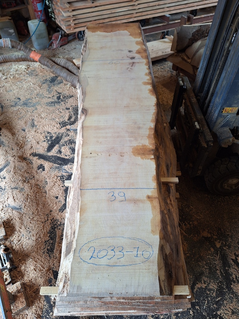 Plateau Platane 53 x 390-600 x 2830 mm de la boule 2033 - 10