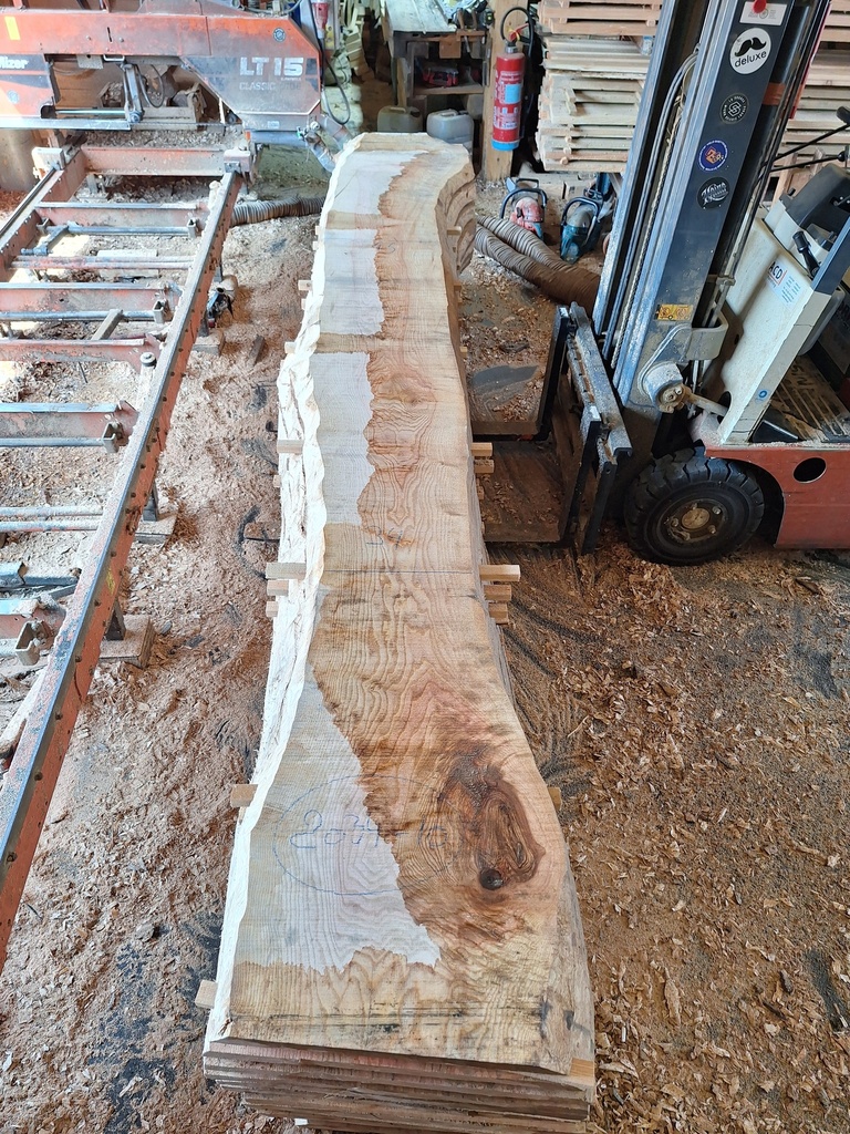 Plateau Frêne 43 x 340-450 x 4140 mm de la boule 2034 - 10