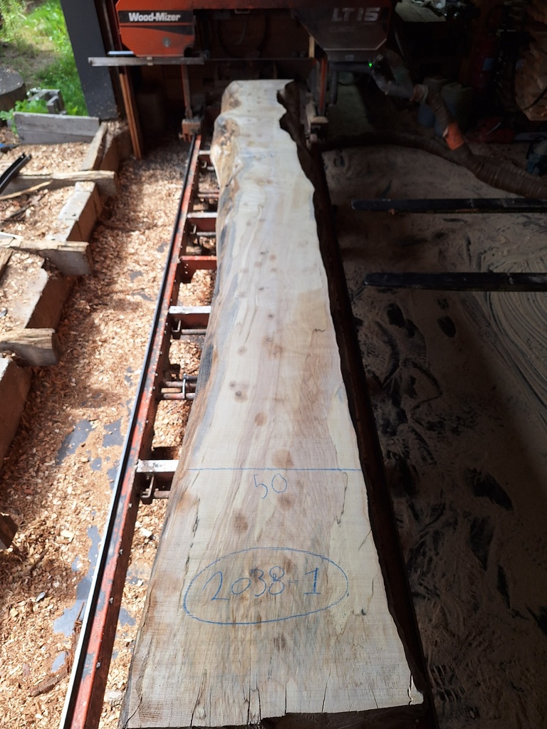 Plateau Marronnier 53 x 340-500 x 4100 mm de la boule 2038 - 1