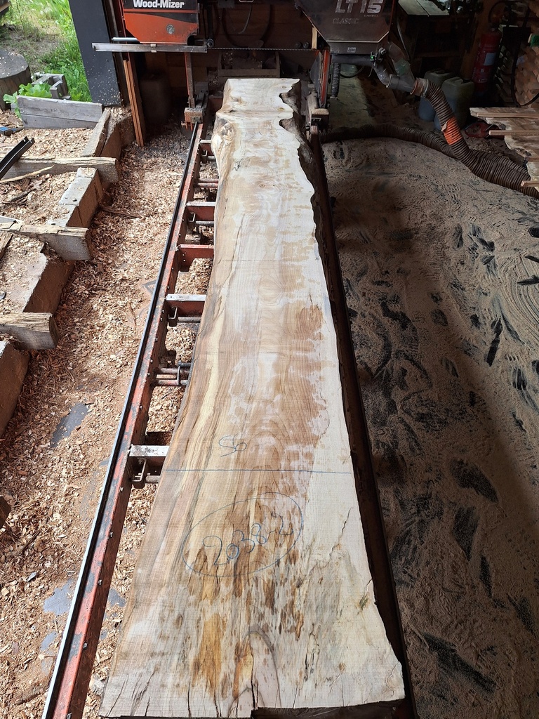 Plateau Marronnier 53 x 340-560 x 4100 mm de la boule 2038 - 2