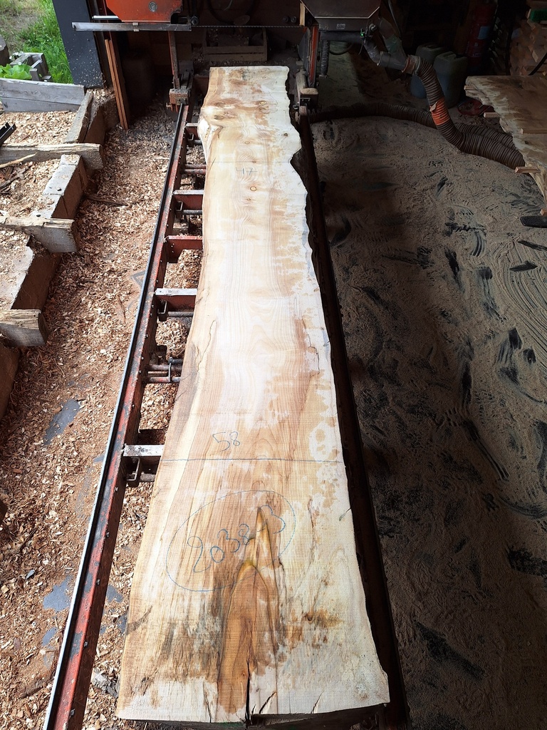 Plateau Marronnier 53 x 470-580 x 4100 mm de la boule 2038 - 3