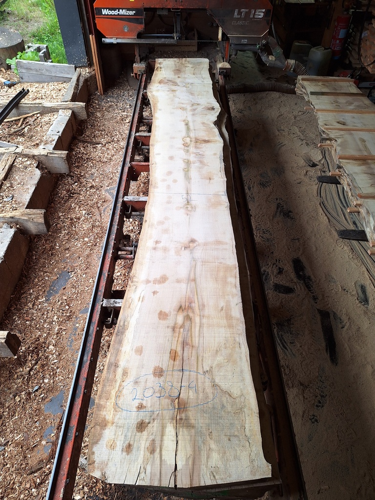 Plateau Marronnier 53 x 520-630 x 4100 mm de la boule 2038 - 4