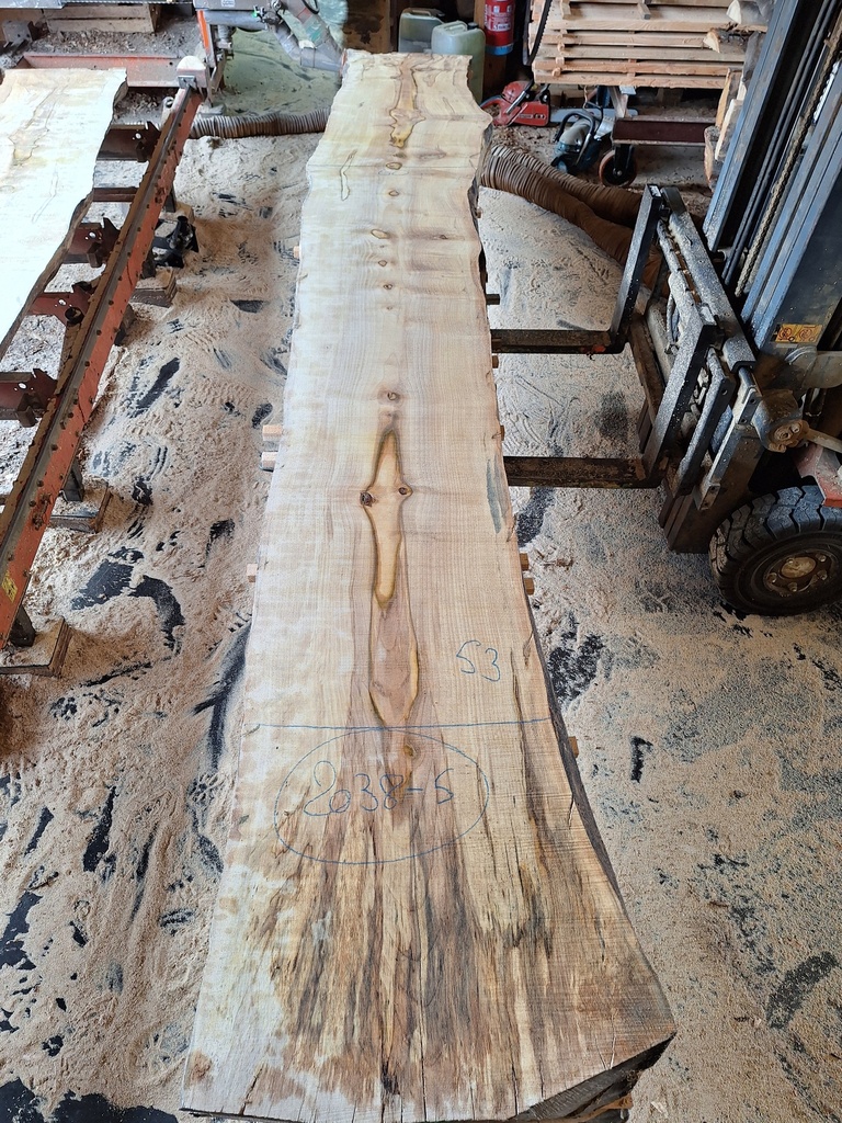 Plateau Marronnier 53 x 530-600 x 4100 mm de la boule 2038 - 5