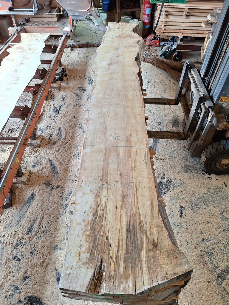 Plateau Marronnier 53 x 390-500 x 4100 mm de la boule 2038 - 6