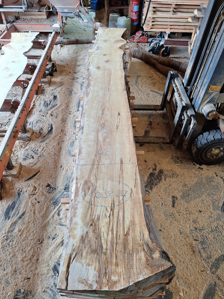 Plateau Marronnier 53 x 350-450 x 4100 mm de la boule 2038 - 7