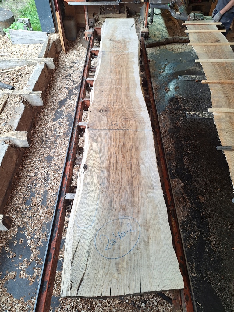 [PL-FRE-2040-2] Plateau Frêne 53 x 470-560 x 3950 mm de la boule 2040 - 2